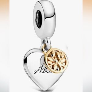 Mom-Heart of Our Family Charm